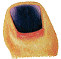 44a27e21-4aa0-41c9-8239-f0a6727bc1b6