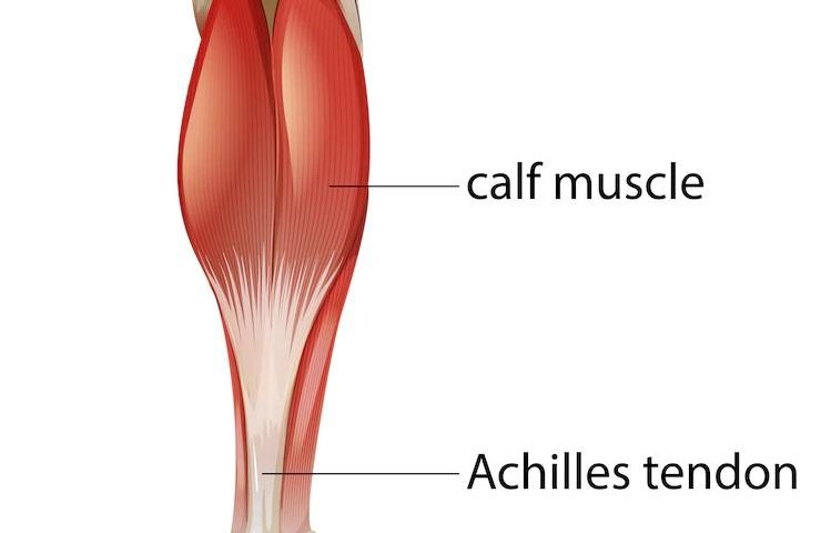 Types Of Achilles Tendon Repair Surgery